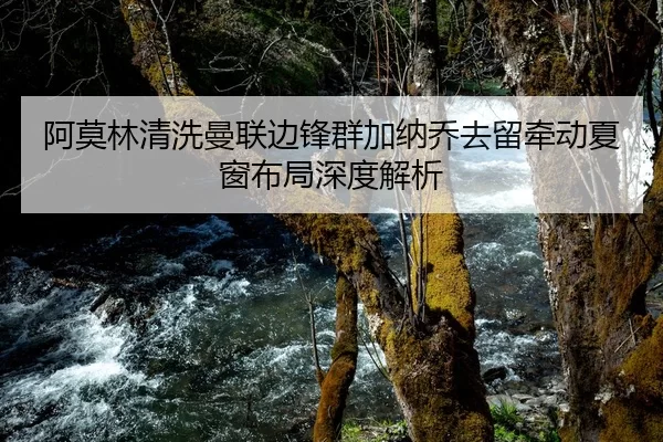 阿莫林清洗曼联边锋群加纳乔去留牵动夏窗布局深度解析