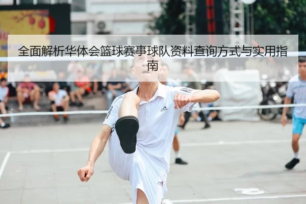 全面解析华体会篮球赛事球队资料查询方式与实用指南