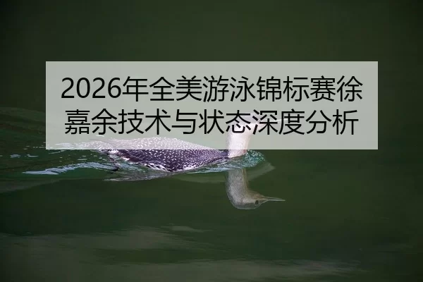2026年全美游泳锦标赛徐嘉余技术与状态深度分析
