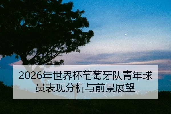 nian-shi-jie-bei-pu-tao-ya-dui-qing-nian-qiu-yuan-biao-xian-fen-xi-yu-qian-jing-zhan-wang-2-337.jpg