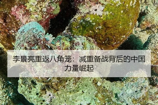 李景亮重返八角笼：减重备战背后的中国力量崛起