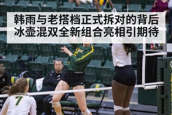 韩雨与老搭档正式拆对的背后 冰壶混双全新组合亮相引期待