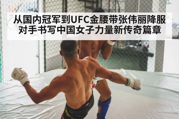 MMA fight