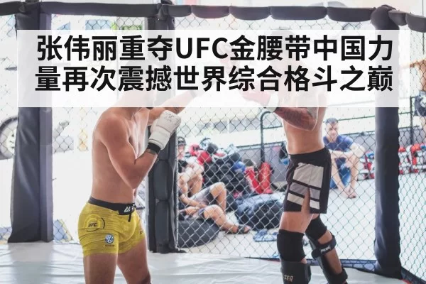 MMA fight cage