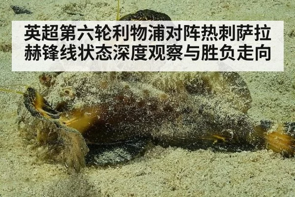 英超第六轮利物浦对阵热刺萨拉赫锋线状态深度观察与胜负走向